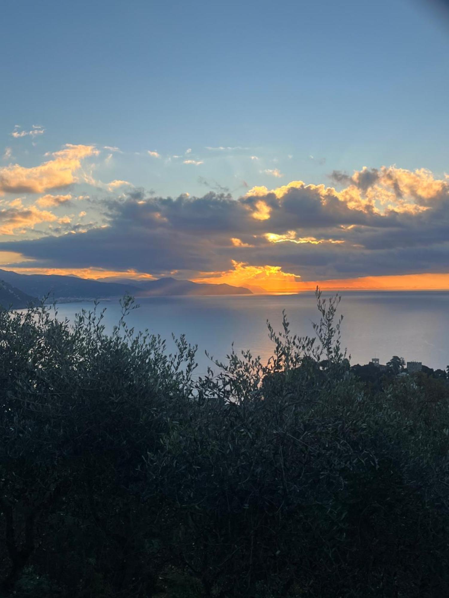 La Conchiglia Bed & Breakfast Camogli Exteriér fotografie