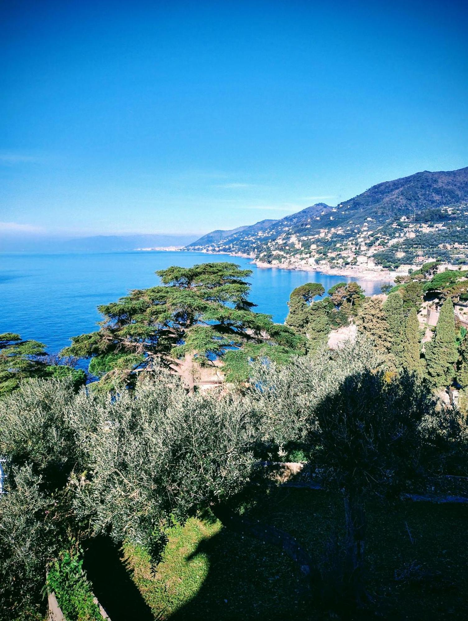 La Conchiglia Bed & Breakfast Camogli Exteriér fotografie