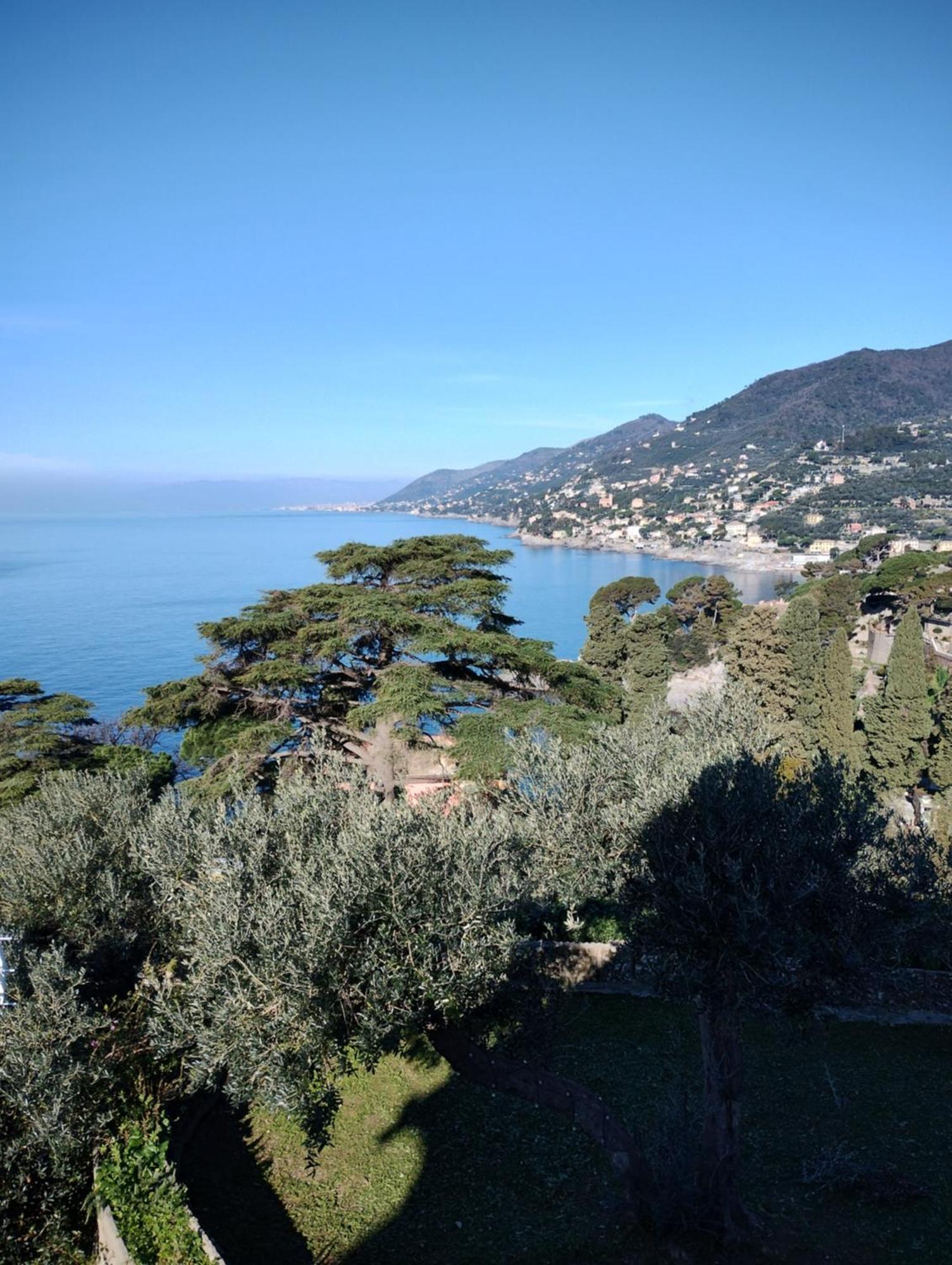 La Conchiglia Bed & Breakfast Camogli Exteriér fotografie